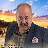 Ali Düşenkalkar