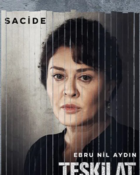 Ebru Nil Aydın