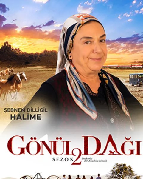 Şebnem Dilligil