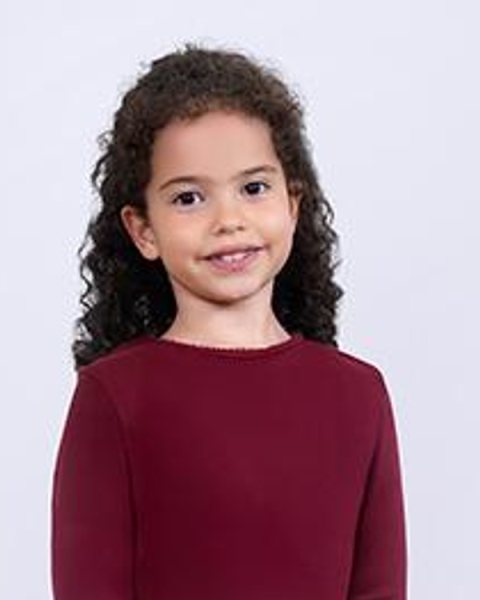 Yade Arayıcı